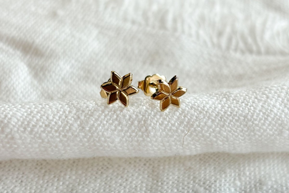 Boucle d'oreille Leonie 8mm polie