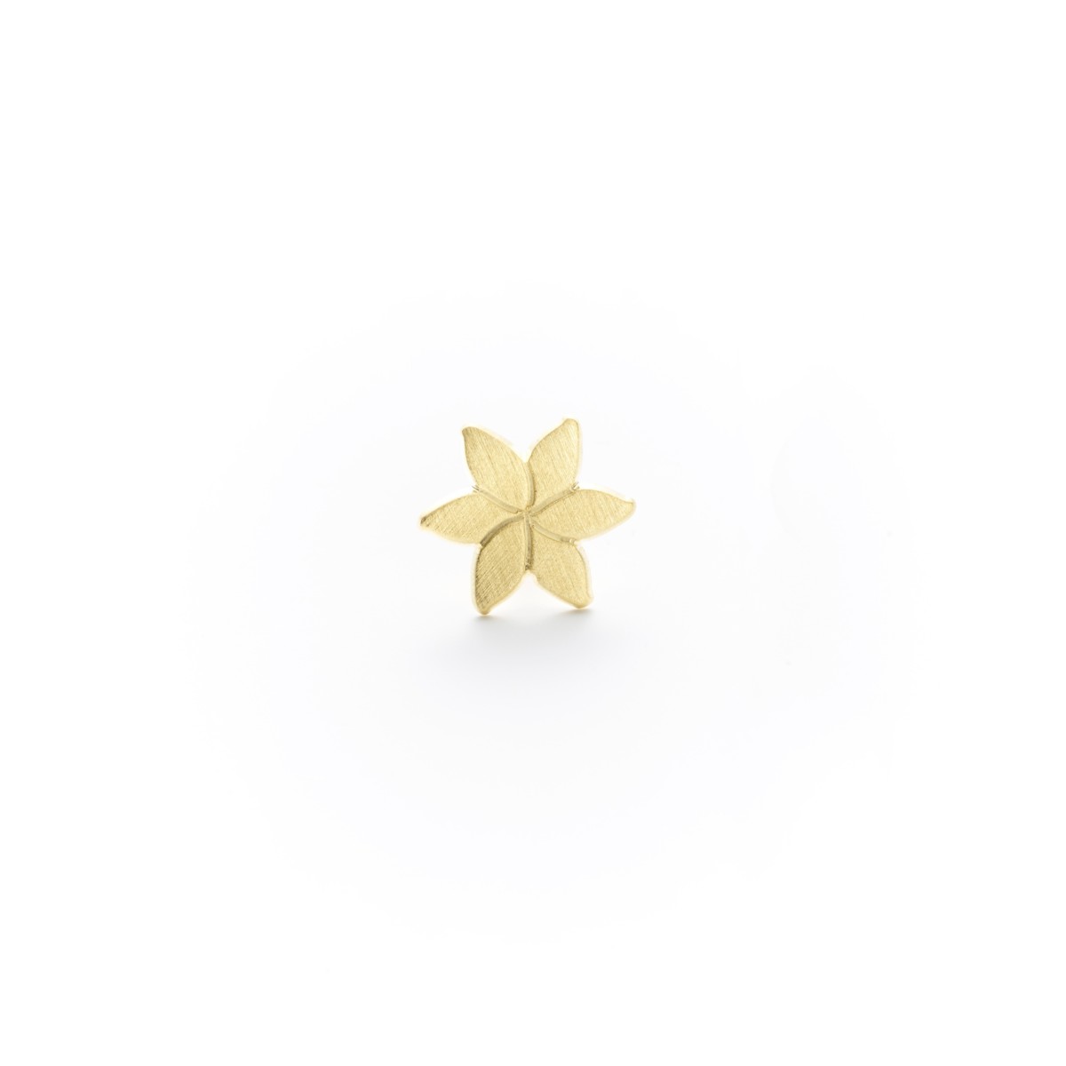 BO LEONIE SAMLL ZOOM